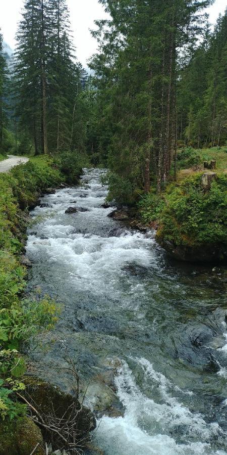 Gaestehaus Fuchs Grobming Dış mekan fotoğraf